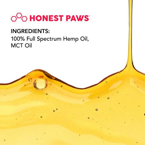  Honest Paws - Purity | Premium Full Spectrum Hemp Oil Tincture for Dogs | Alleviates Dog Pain, Allergies, and Anxiety | High Quality All Natural Pure Hemp Oil - 500 mg