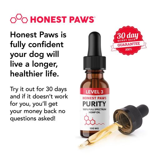  Honest Paws - Purity | Premium Full Spectrum Hemp Oil Tincture for Dogs | Alleviates Dog Pain, Allergies, and Anxiety | High Quality All Natural Pure Hemp Oil - 500 mg