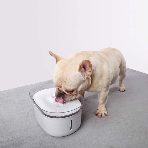  [아마존핫딜][아마존 핫딜] HoneyGuaridan W18 Automatic Pet Water Drinking Fountain, Water Dispenser for Dogs and Cats, 2L (70 oz)