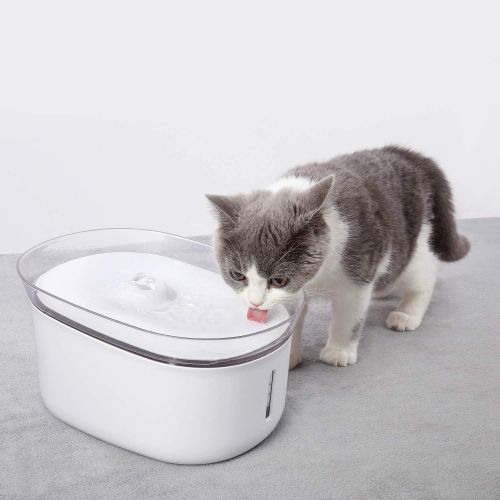  [아마존핫딜][아마존 핫딜] HoneyGuaridan W18 Automatic Pet Water Drinking Fountain, Water Dispenser for Dogs and Cats, 2L (70 oz)