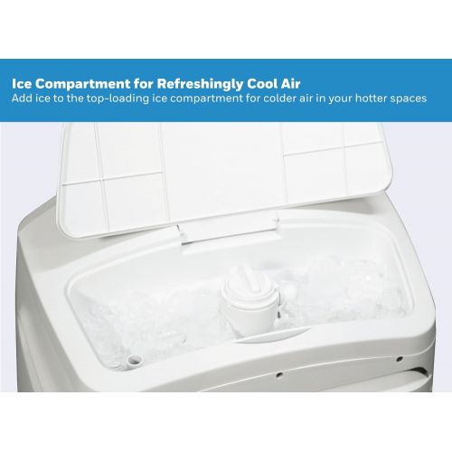  Honeywell Cl30xcww Indoor Evaporative Air Cooler, White Home Comfort