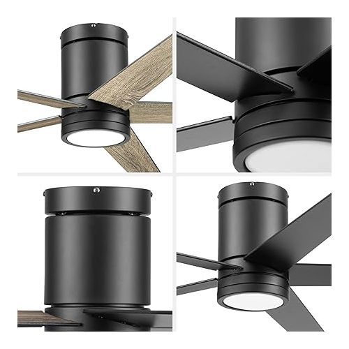  Honeywell Ceiling Fans Graceshire, 52 Inch Contemporary Ceiling Fan with Color Changing LED Light, Remote Control, Flush Mount, 5 Dual Finish Blades, Reversible Airflow - 51859-01 (Matte Black)