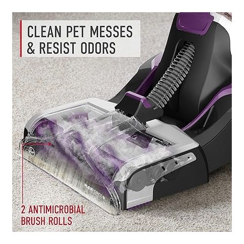  Hoover SmartWash Pet Automatic Carpet Cleaner Machine with Spot Chaser Wand, Deep Cleaning Shampooer, Carpet Deodorizer and Pet Stain Remover, FH53000PC, Purple