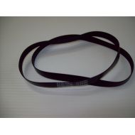 (Ship from USA) 2 Genuine Hoover Windtunnel T Series Belts MS 12.8X457 0461133A 562289001 20065