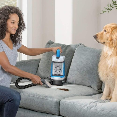  Hoover PowerDash GO Pet+ Portable Spot Cleaner, Lightweight Carpet and Upholstery Machine, Stain Remover for Pets, Stairs and Home, FH13010PC, Blue