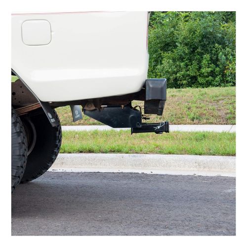  Hopkins CURT 13310 Class 3 Trailer Hitch, 2-Inch Receiver for Select Dodge D-Series, Ford F-Series and Ford Bronco