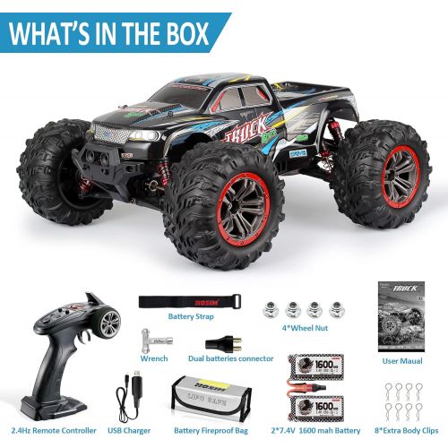  Hosim Hobby Grade 1:10 Scale Large Size RC Cars, 46+ KMH High Speed All Terrains Electric Toy Off Road RC Monster Truck Vehicle Car for Boys and Adults for 40+ Min Play(Blue)