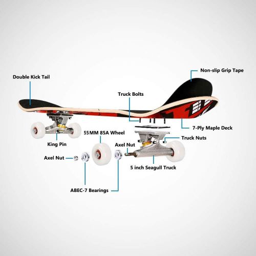  Hosmat 31 Complete Pro Skateboard 7 Layer Canadian Maple Wood Skateboard Deck with Double Kick Concave Design for Kids & Adults Beginner - Age 5 Up