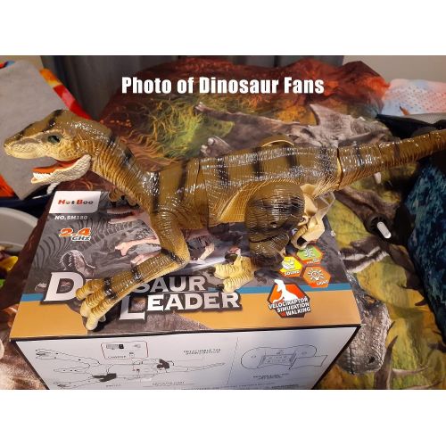  [아마존베스트]Hot Bee Remote Control Dinosaur Toys, Big Walking Dinosaur Robot w/ Led Light & Roaring 2.4Ghz Simulation RC Velociraptor Toys Gifts for Kids & Boys 5-7