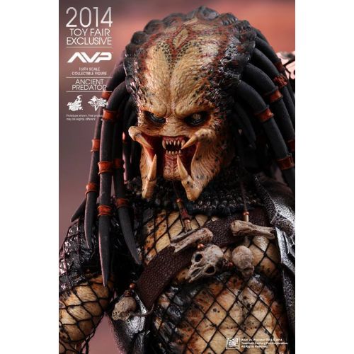 핫토이즈 Hot Toys 16 Alien Vs Predator AVP Ancient Predator MMS250 Japan