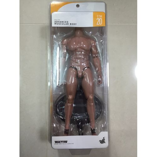 핫토이즈 Hot Toys TTM 20 TrueType True Type Body Advanced Muscular Caucasian Figure NEW