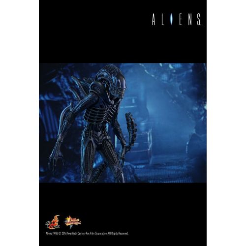 핫토이즈 Hot Toys 16 Aliens Alien Warrior 2.0 MMS354