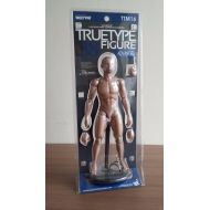 Hot Toys TTM 16 TrueType True Type Body Caucasian Advanced Version Figure NEW