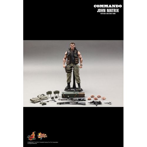 핫토이즈 Hot Toys 16 Commando John Matrix MMS276 Japan