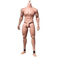 Hot Toys True Type Advanced Muscular Figure Body TTM-20 12 Figure In Stock