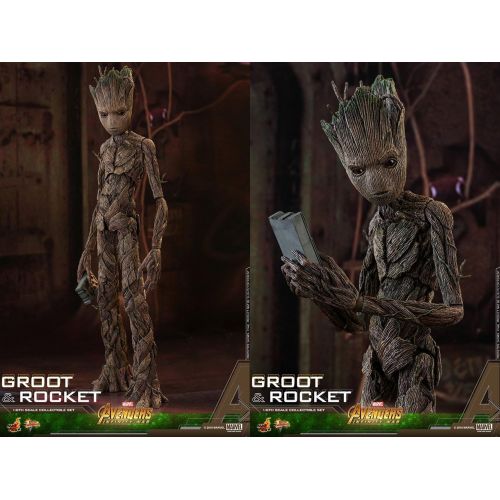 핫토이즈 Hot Toys Groot & Rocket (2-in-1 Set) 16 Sixth Scale Collectible Action Figure Avengers: Infinity War - Movie Masterpiece Series Marvel Cinematic Universe MCU
