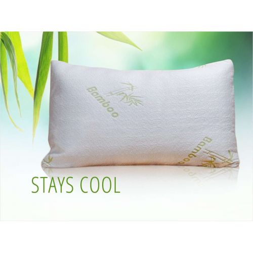  2 Hypoallergenic Bamboo Covered Memory Foam Queen Pillows with Carry Bag by Hotel Plush