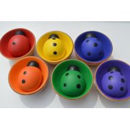 /HouseMountainNatural Babies First Counting Sorting Montessori Wooden Rainbow Sensory Toy 6 Ladybugs And 6 Bowls
