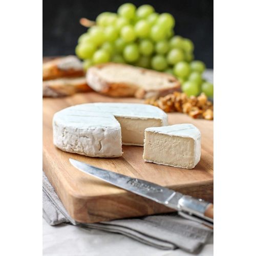  Hozprom Cheese Molds Manufacturer 15 x Cheese Mould 11x7cm - 0,5 kg Caciotta  Moulds | Basket for Cheese making | Cheesemaking from Cow and Goat Milk. Cheese making supplies from the manufacturer