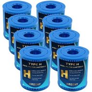 Hrozny Type H Replacement Pool Filter,Pool Filter Cartridge for Intex 330 GPH Filter Pump 28601/28602/29007E(8 Pack)