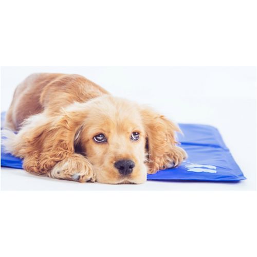  Huaishu Cooling Summer Dog Mat Self Cooling Gel Mat No More Over Heating Pet Cool Bed Dogs Cats Perfect Floors, Couches, Beds, Crates, Kennels Cars