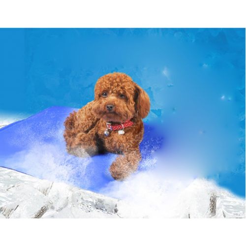  Huaishu Cooling Summer Dog Mat Self Cooling Gel Mat No More Over Heating Pet Cool Bed Dogs Cats Perfect Floors, Couches, Beds, Crates, Kennels Cars