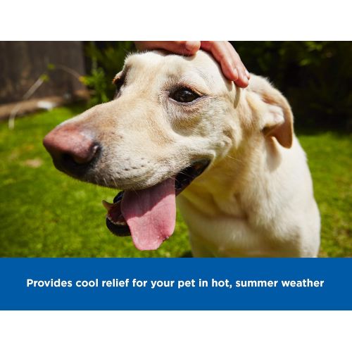  Hugs Pet Products Chillz Pressure Activated Pet Cooling Gel Pad - No Need To Freeze Or Chill - Keep Your Dog Cool and Reduce Joint Pain