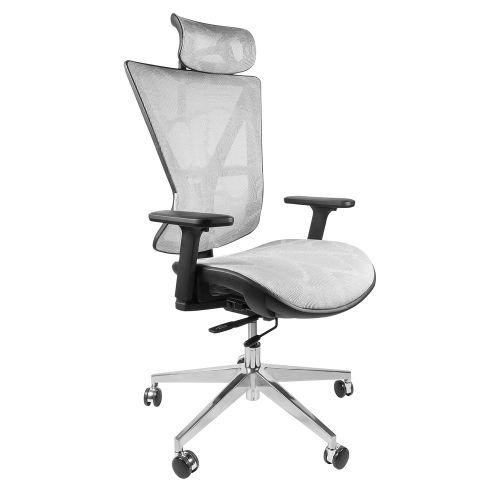  9to5 by Humano - Executive Ergonomic Office Chair with Headrest for Long Work Days | Adjustable 3D Armrest, Lumbar Support, Seat-Depth, and Headrest (Gray Mesh)