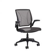 Humanscale Diffrient World Office Task Desk Chair - Adjustable Duron Arms - Black Frame Black Pinstripe Back and Seat Mesh W11BN10N10 - Carpet Casters