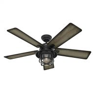 Hunter 54 Coral Gables Reversible Burnished Gray Pine Blades Remote Controlled Ceiling Fan in Weathered Zinc Finish