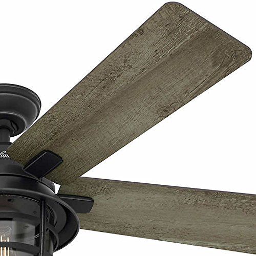  Hunter 54 Coral Gables Reversible Burnished Gray Pine Blades Remote Controlled Ceiling Fan in Weathered Zinc Finish