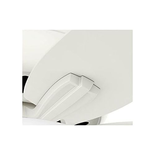  [아마존베스트]HUNTER 51080 Newsome Indoor Low Profile Ceiling Fan with LED Light and Pull Chain Control, 42, Fresh White