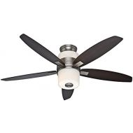 Hunter Fan Company Hunter 59010 Domino 52-Inch Antique Pewter Ceiling Fan with Five MapleRosewood Blades and Light Kit