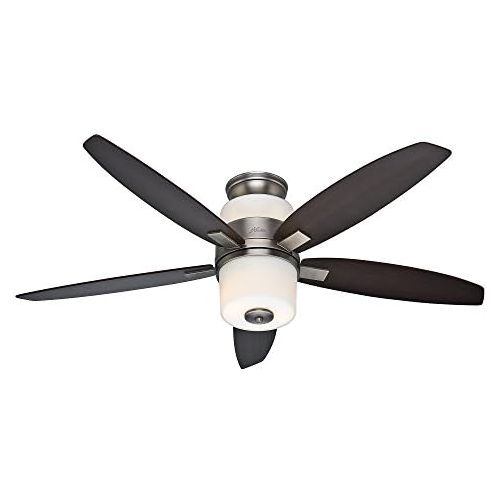  Hunter Fan Company Hunter 59010 Domino 52-Inch Antique Pewter Ceiling Fan with Five MapleRosewood Blades and Light Kit
