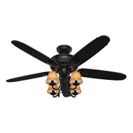 Hunter Fan Company Hunter 53095 Cortland 54 Basque Black Ceiling Fan with 5 Aged Ebony Blades and light kit