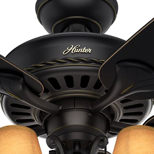  Hunter Fan Company Hunter 53095 Cortland 54 Basque Black Ceiling Fan with 5 Aged Ebony Blades and light kit