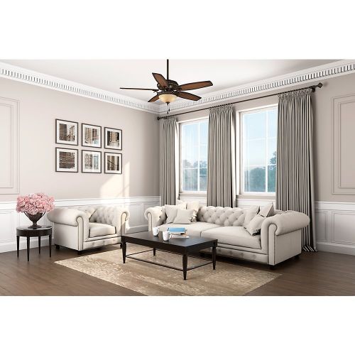  Hunter Fan Company Hunter 54 Brushed Cocoa Ceiling Fan, Brown