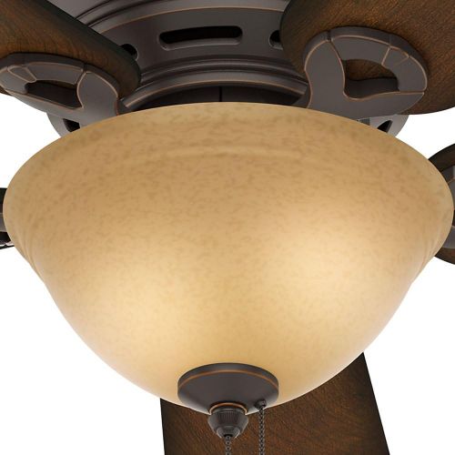  Hunter Fan Company Hunter Conroy Indoor Low Profile Ceiling Fan with LED Light and Pull Chain Control, 42, Onyx Bengal