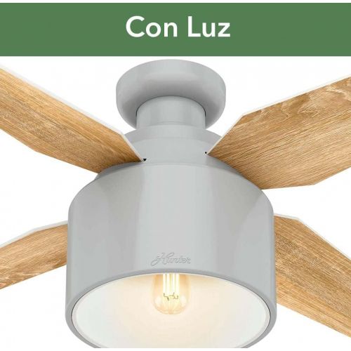  Hunter Fan Company 50264 Cranbrook Ceiling Fan, 52, Dove Grey