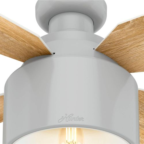  Hunter Fan Company 50264 Cranbrook Ceiling Fan, 52, Dove Grey