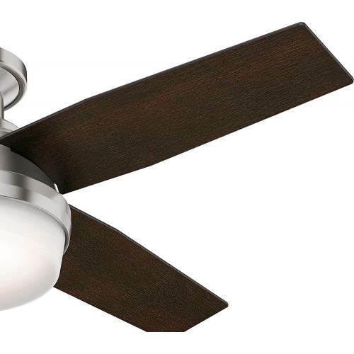  Hunter Fan Company Hunter Dempsey Indoor Low Profile Ceiling Fan with LED Light and Remote Control, 44, Brushed Nickel