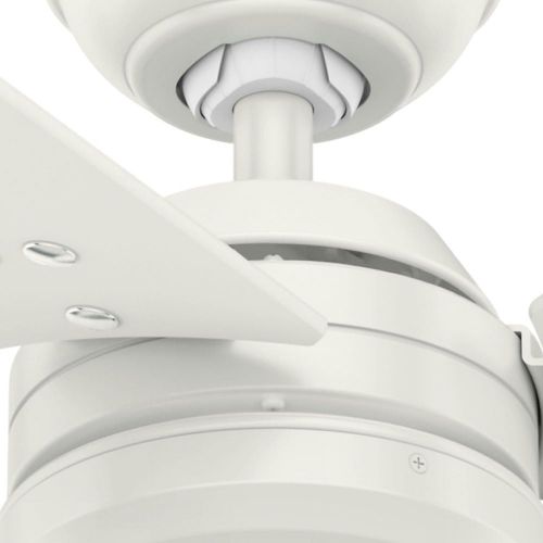  Hunter Fan Company 59263 Cassius 52 Inch 3 Blade 3 Speed Wooden Indoor/Outdoor Ceiling Fan with Pull Chain Control, Light Stripe, 52, Fresh White Finish