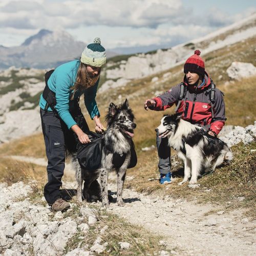  Hurtta Trail Pack Dog Backpack