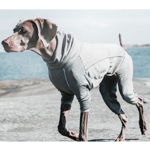  Hurtta Body Warmer Dog Bodysuit, Carbon Grey