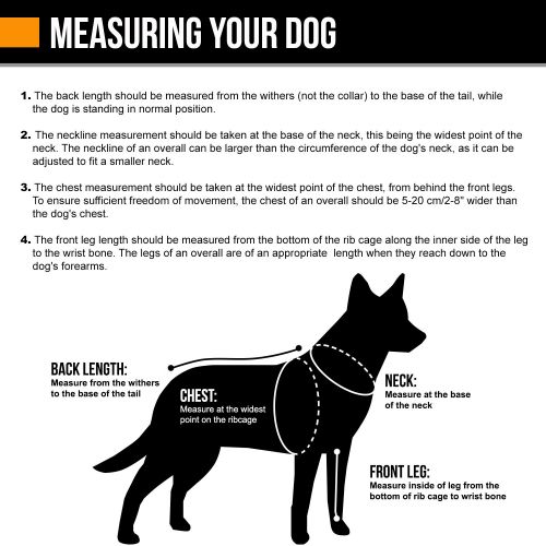  Hurtta Swimmer Vest, Hunting/Sportsman Dog Swimming Vest w/Bug Repellant Treatment