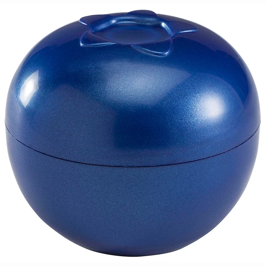  Blueberries To-Go Container in BlueClear