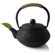 HwaGui Hwagui Best Japanese Cast Iron Teapot and Tea Kettle with Stainless Steel Infuser for Stove Top 600ml/20oz