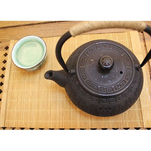  HwaGui Hwagui Best Japanese Cast Iron Teapot and Tea Kettle with Stainless Steel Infuser for Stove Top 600ml/20oz