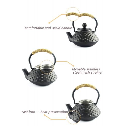  HwaGui Hwagui Japanese Kettle Tetsubin Cast Iron Teapot with Stainless Steel Tea Infuser Black