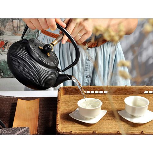  HwaGui Japanische Teekanne Gusseisen mit Tee Sieb fuer Losen Tee 0,8 ltr. (4 tassen) [MEHRWEG]